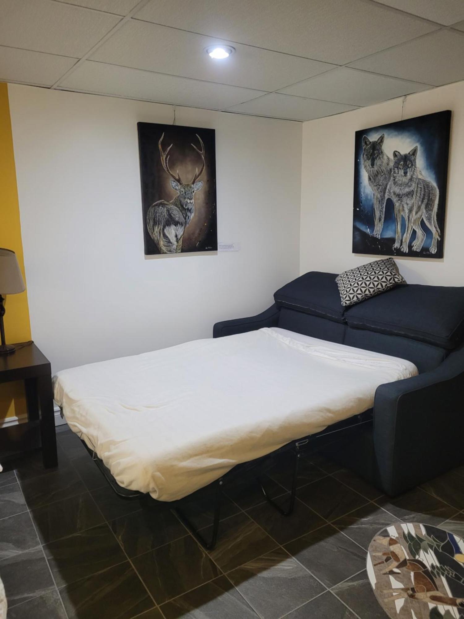 Studio Bellevue Saint Felicien Luaran gambar