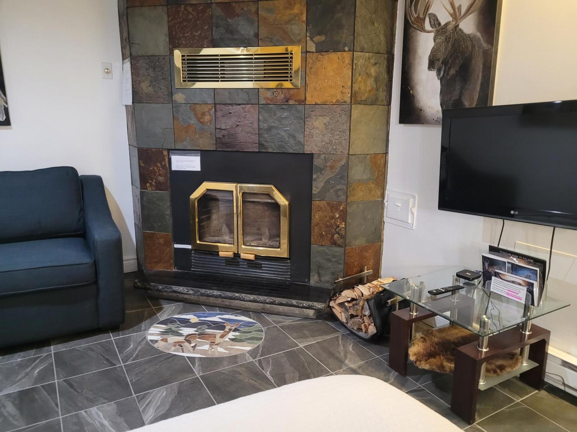 Studio Bellevue Saint Felicien Luaran gambar